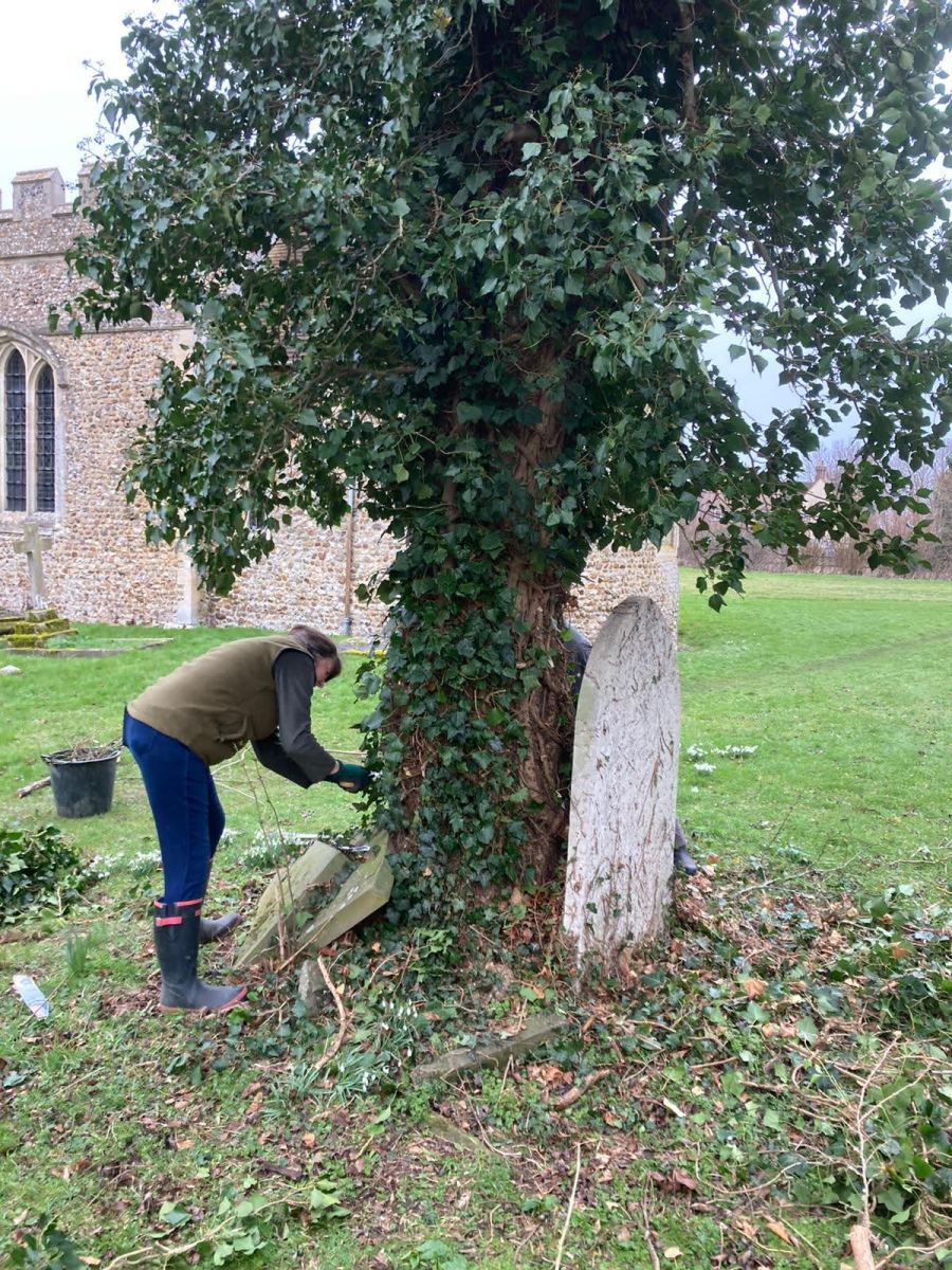 Gardening Club: Churchyard Tree Maintenance